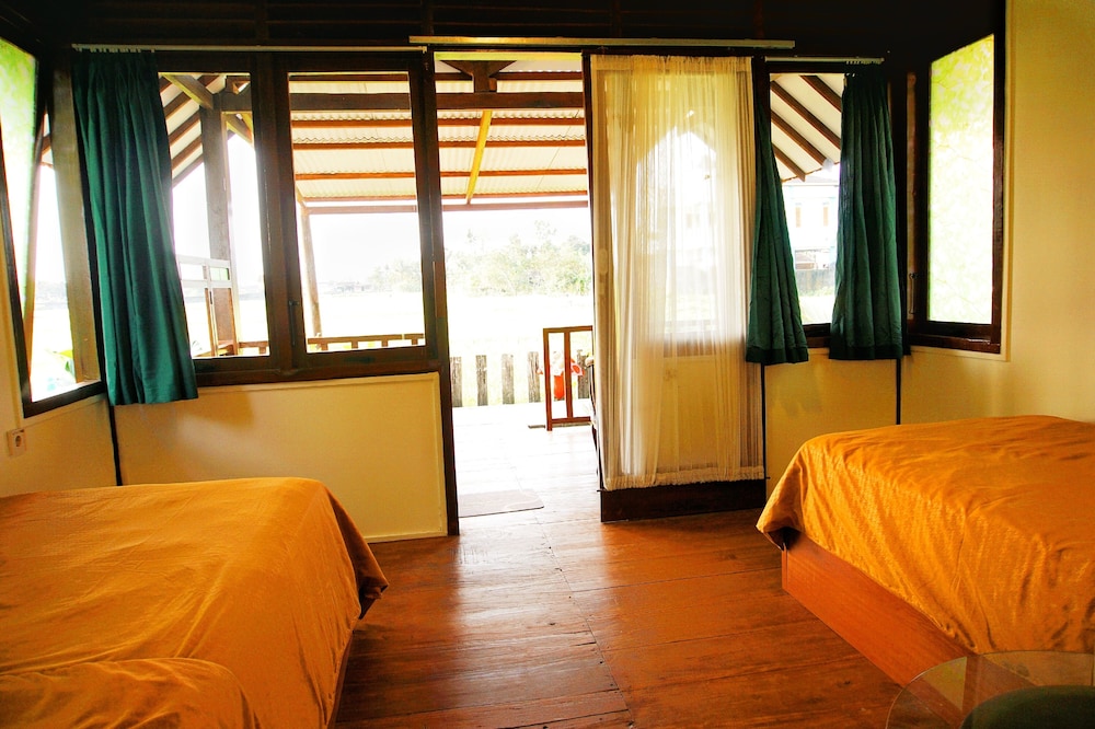 Twin Room photo 3