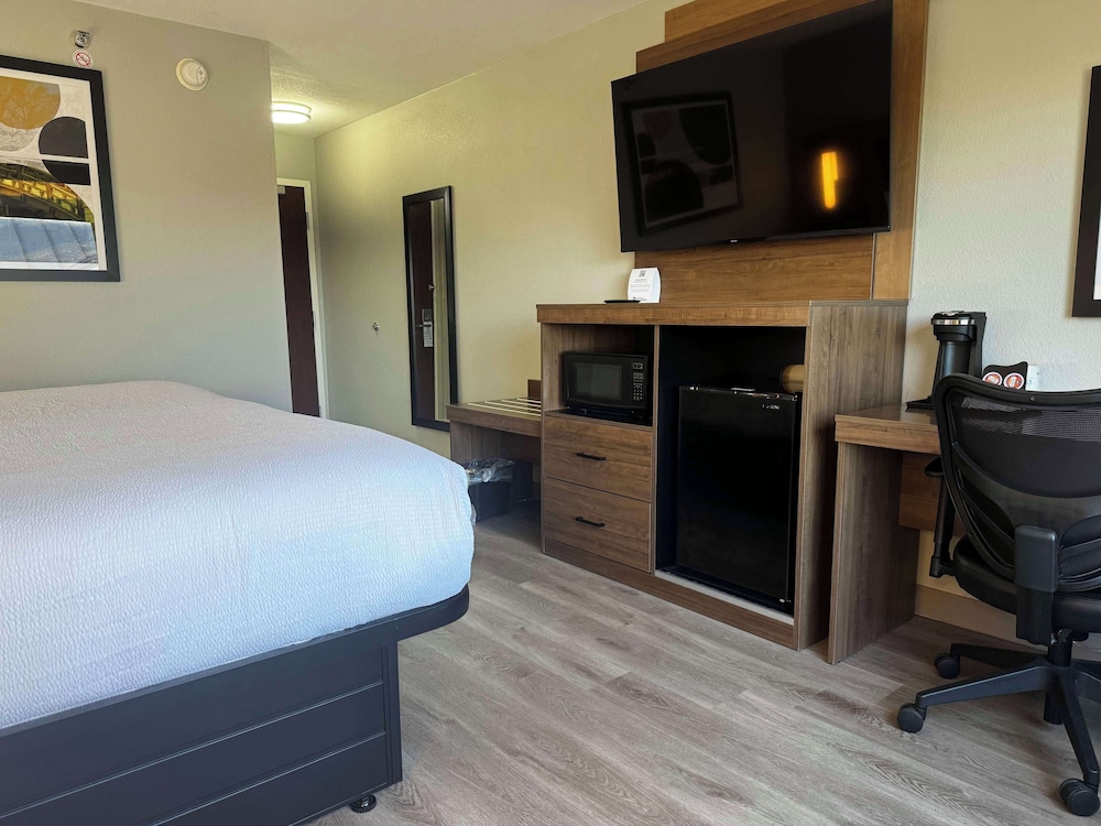 Standard Room, 1 King Bed, Accessible, Refrigerator & Microwave - Photo 3