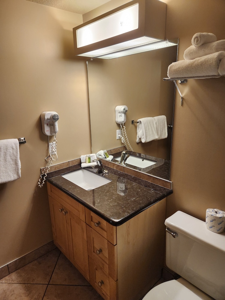 Standard Suite, Kitchen - Photo 27