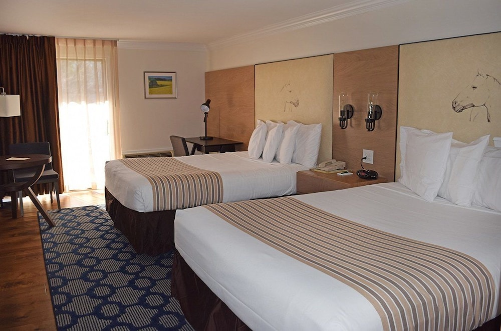 Room, Poolside (Main Building)