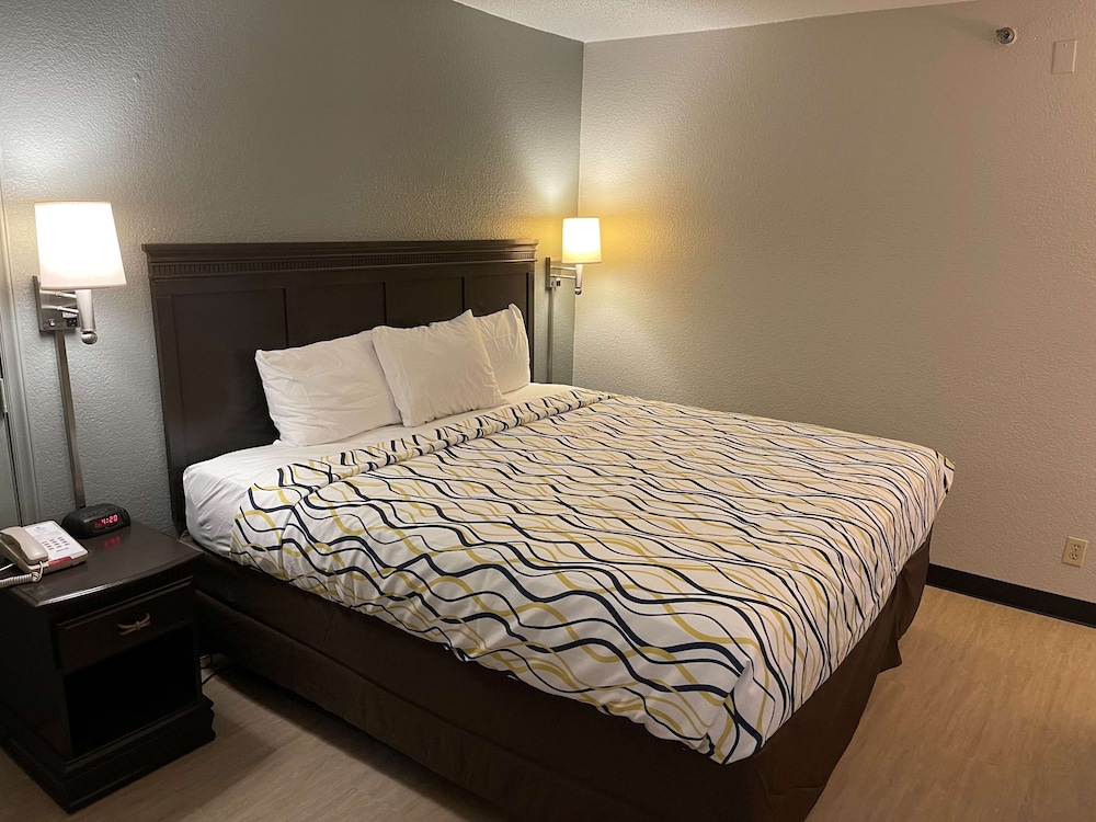 Standard Room, 1 King Bed, Accessible, Refrigerator & Microwave - Photo 10