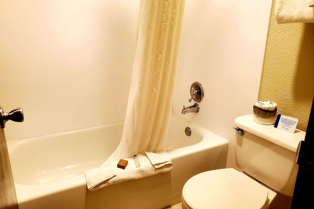 Deluxe Studio Suite, 1 Queen Bed, Non Smoking photo 3