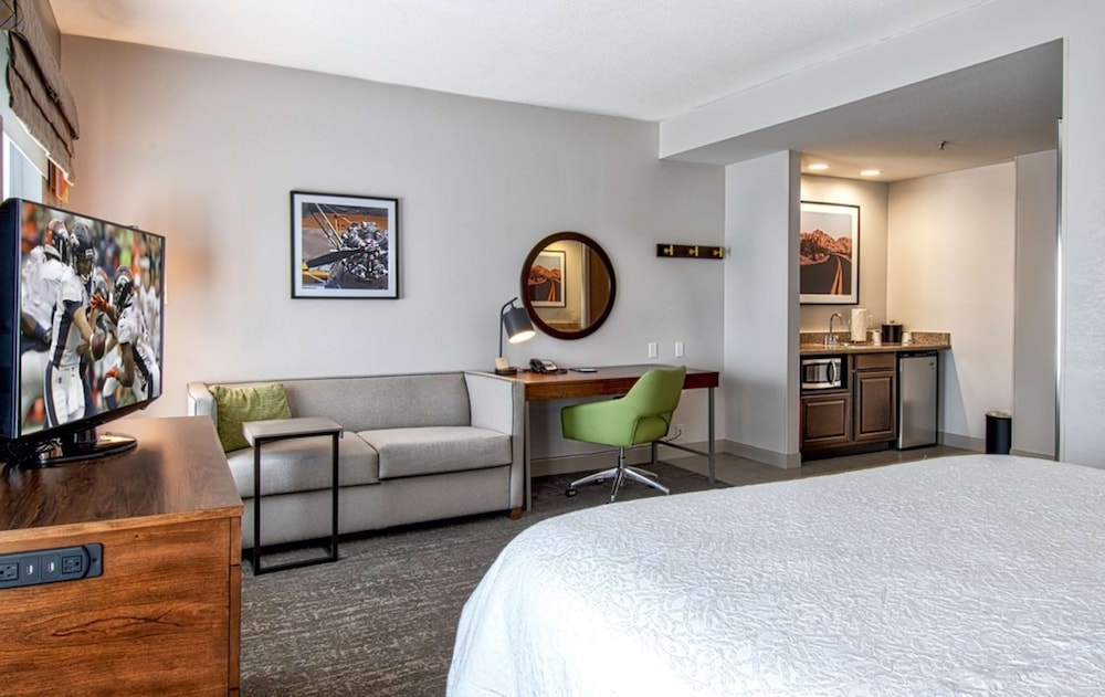 Suite, Accessible, Non Smoking - Photo 4