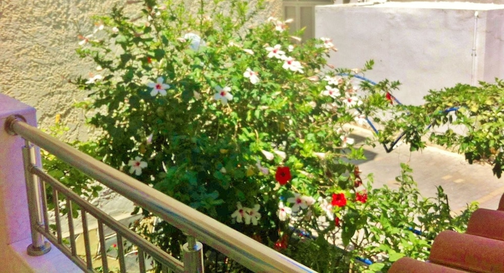 Apartment with Garden View photo 2