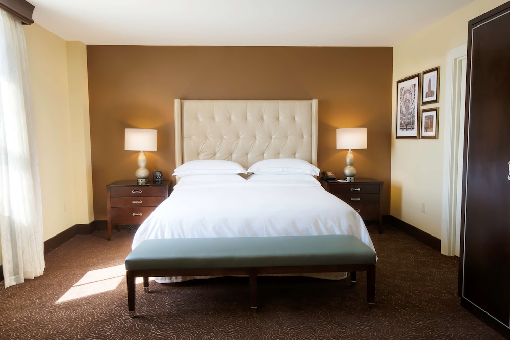 Junior Suite, 1 King Bed, River View photo 2