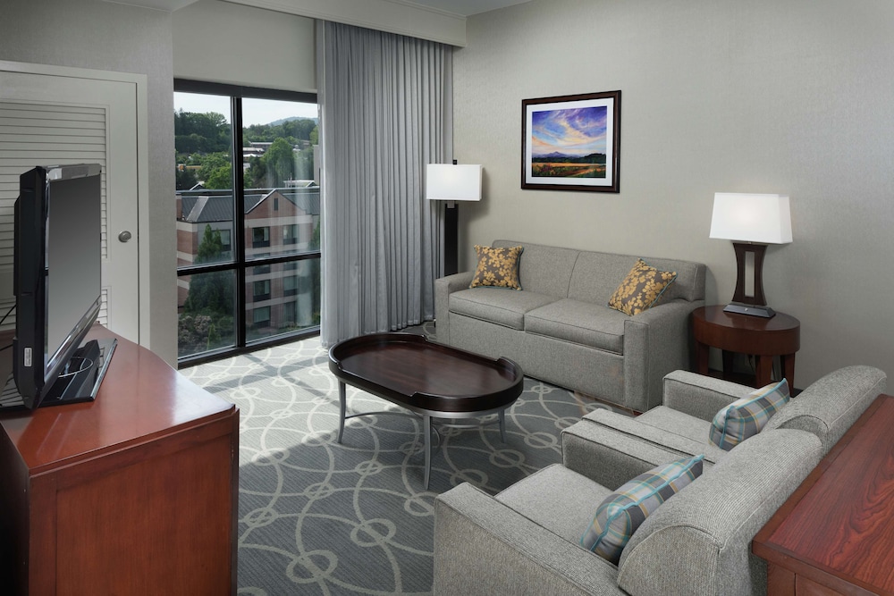 Premium Suite, Non Smoking photo 3