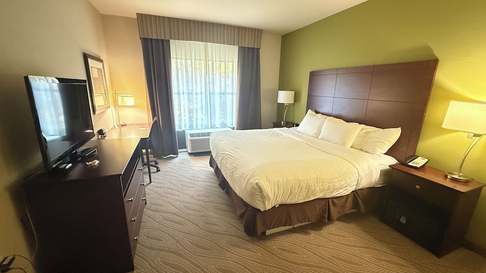 Suite, 1 King Bed, Accessible, Non Smoking photo 3
