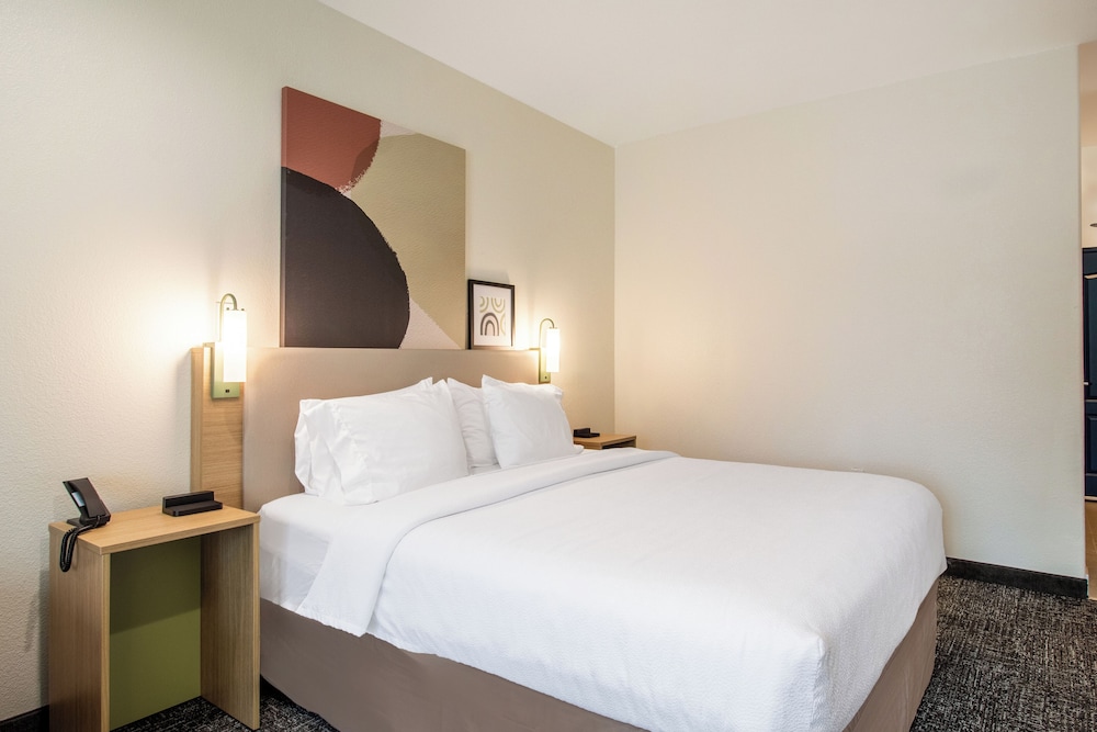 Suite, 1 King Bed, Accessible (Mobility & Hearing, Roll-in Shower) photo 2