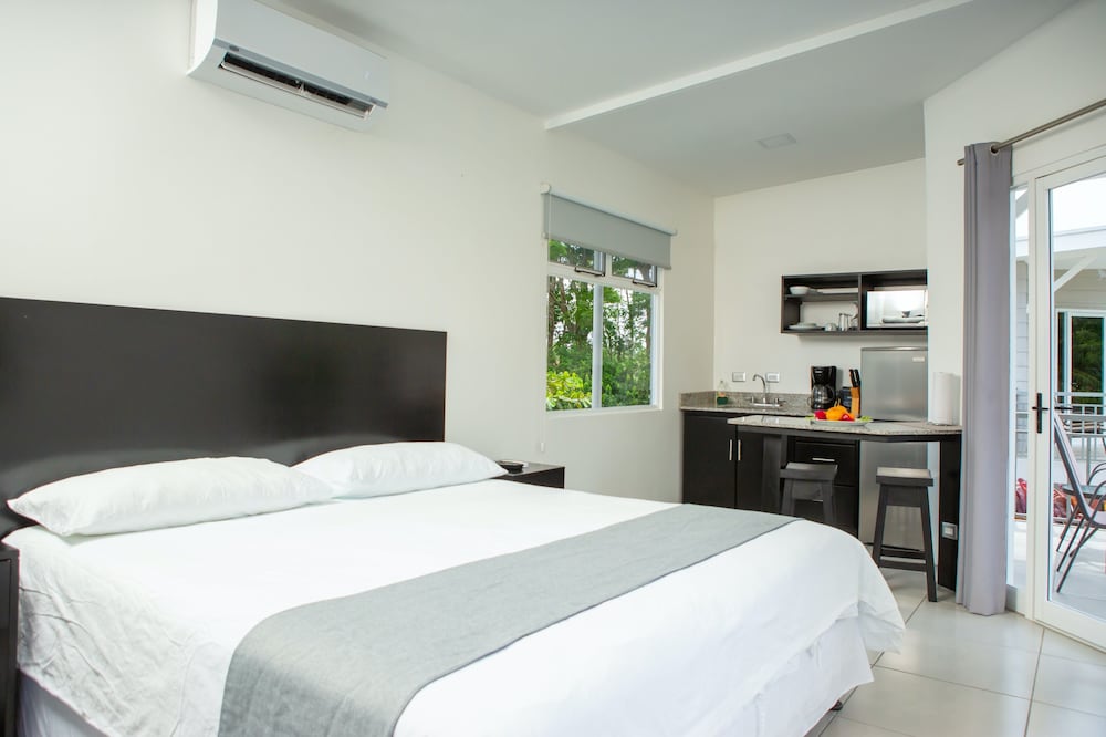 Studio, 1 King Bed, Mountain View