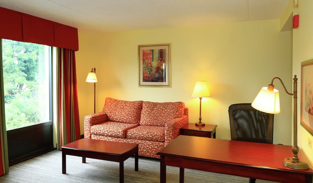 Room, 1 King Bed, Accessible, Non Smoking - Photo 4