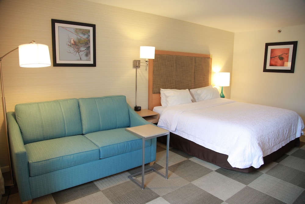 Room, 1 King Bed, Non Smoking, Refrigerator & Microwave - Photo 1