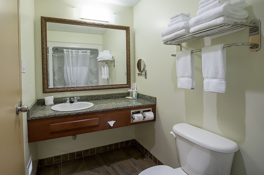 Suite, Multiple Beds, Non Smoking (Efficiency) - Photo 3