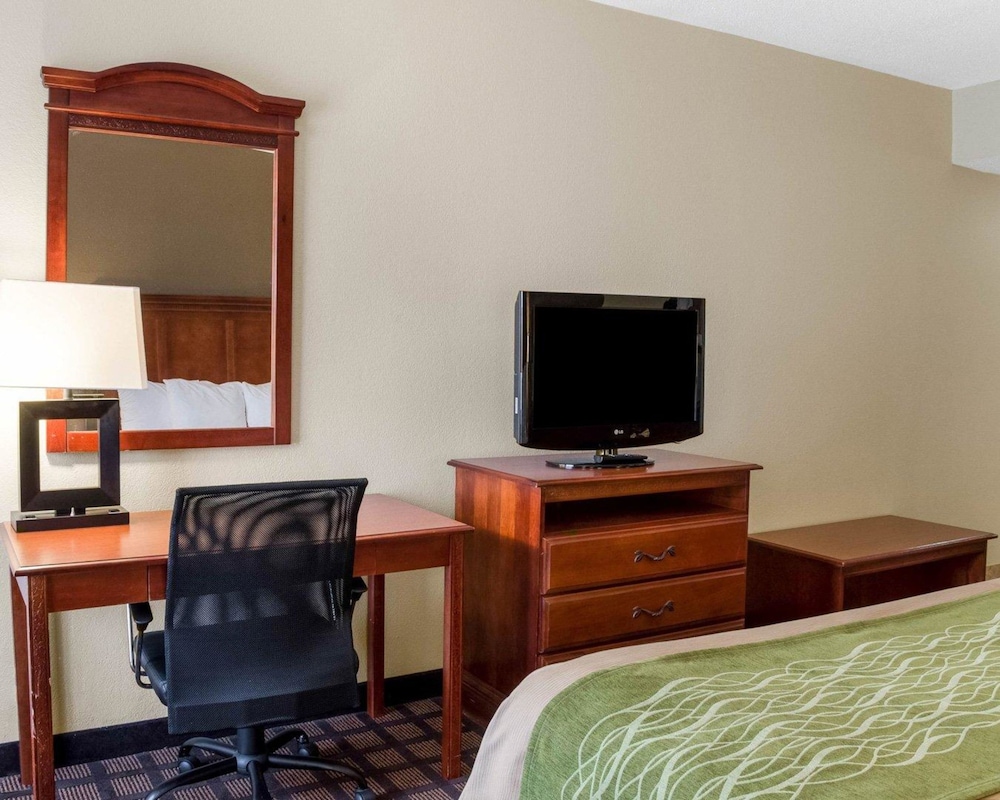 Standard Room, 1 King Bed, Non Smoking photo 3