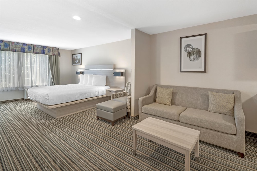 Suite, 1 King Bed, Non Smoking, Refrigerator & Microwave (with Single Sofabed) - Photo 1