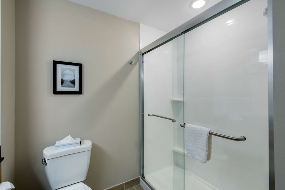 Standard Room, 1 King Bed, Non Smoking, Refrigerator & Microwave (Shower Only) - Photo 5