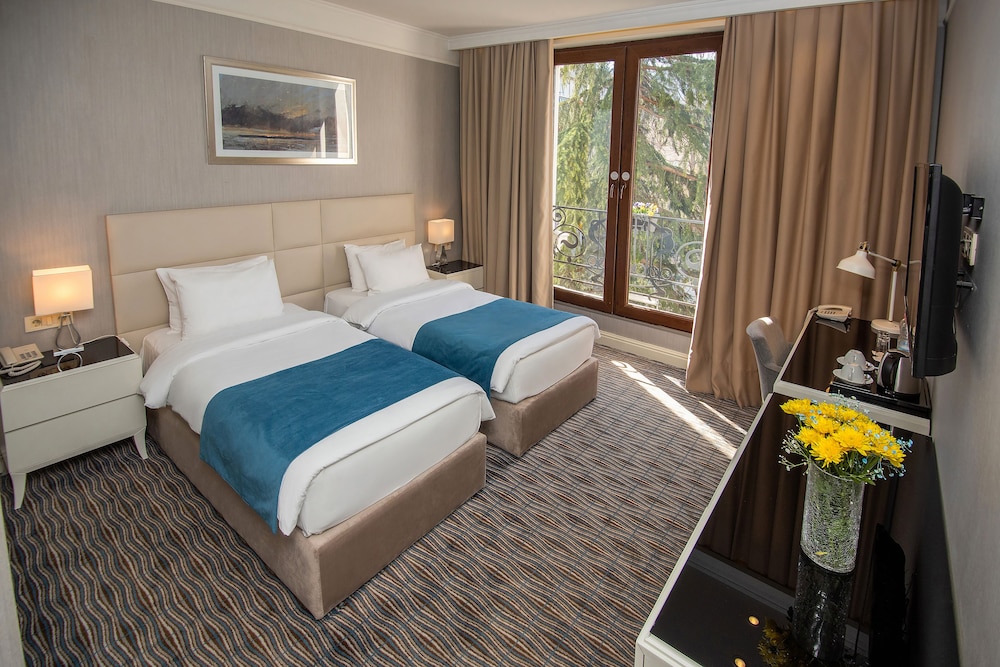 Deluxe Twin Room photo 1