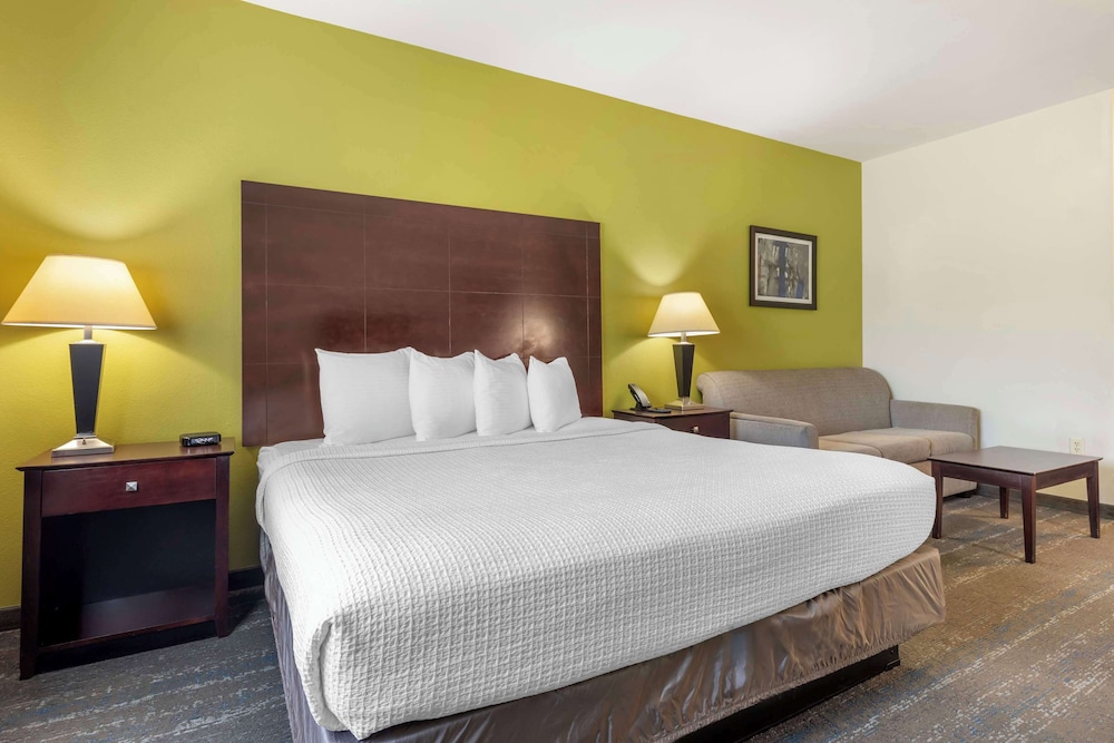 Suite, 1 King Bed, Non Smoking, Microwave (with Sofabed) - Photo 3