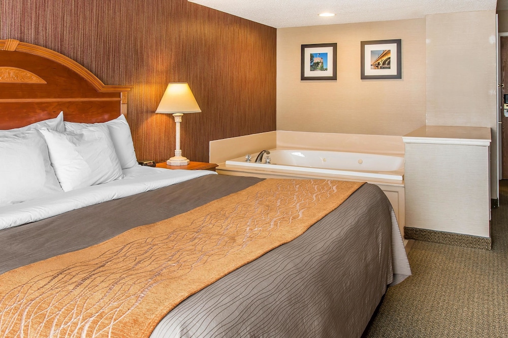 Standard Room, 1 King Bed, Non Smoking, Jetted Tub photo 3