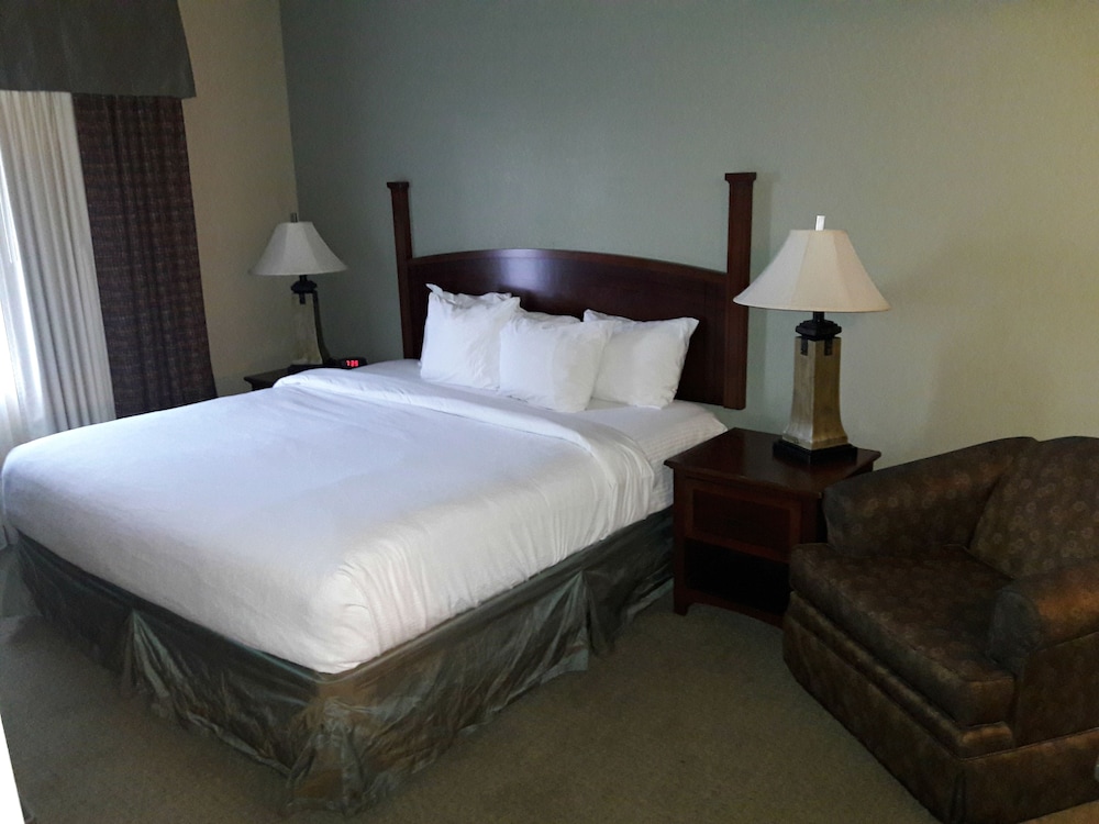 Standard Suite, 2 Double Beds photo 2