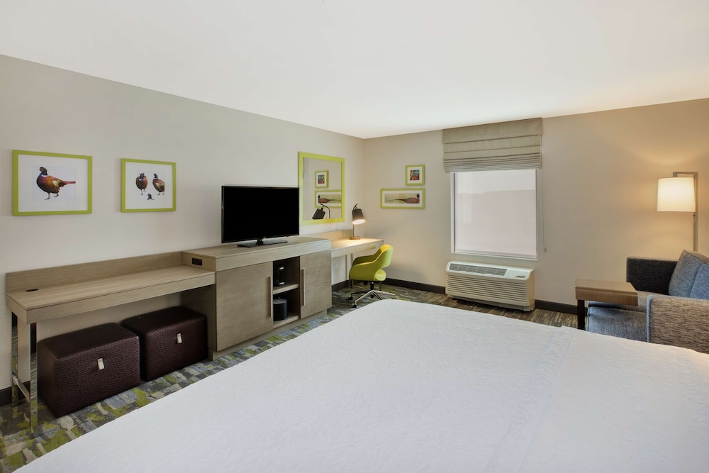 Room, 1 King Bed, Non Smoking, Refrigerator & Microwave photo 2