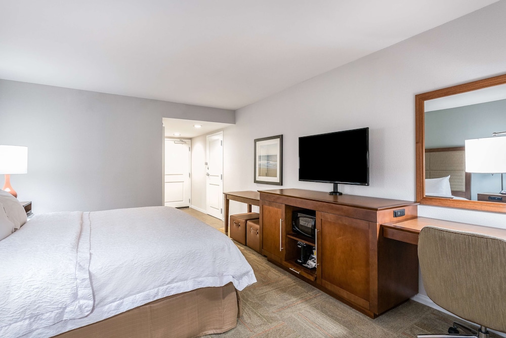 Suite, 1 King Bed, Accessible, Bathtub (Mobility & Hearing) photo 2