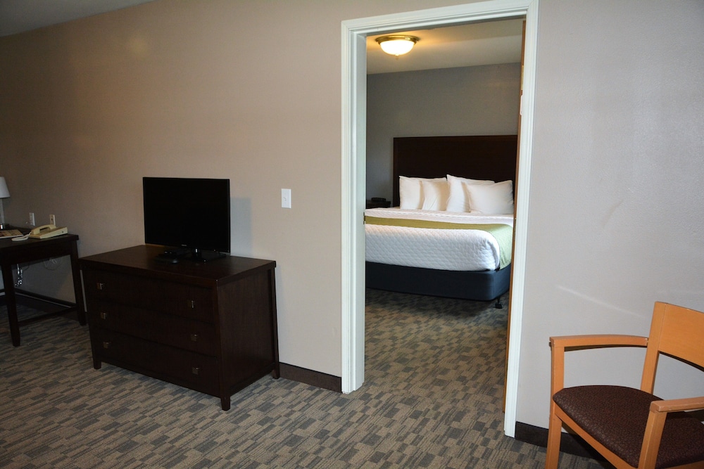 Suite - Photo 3