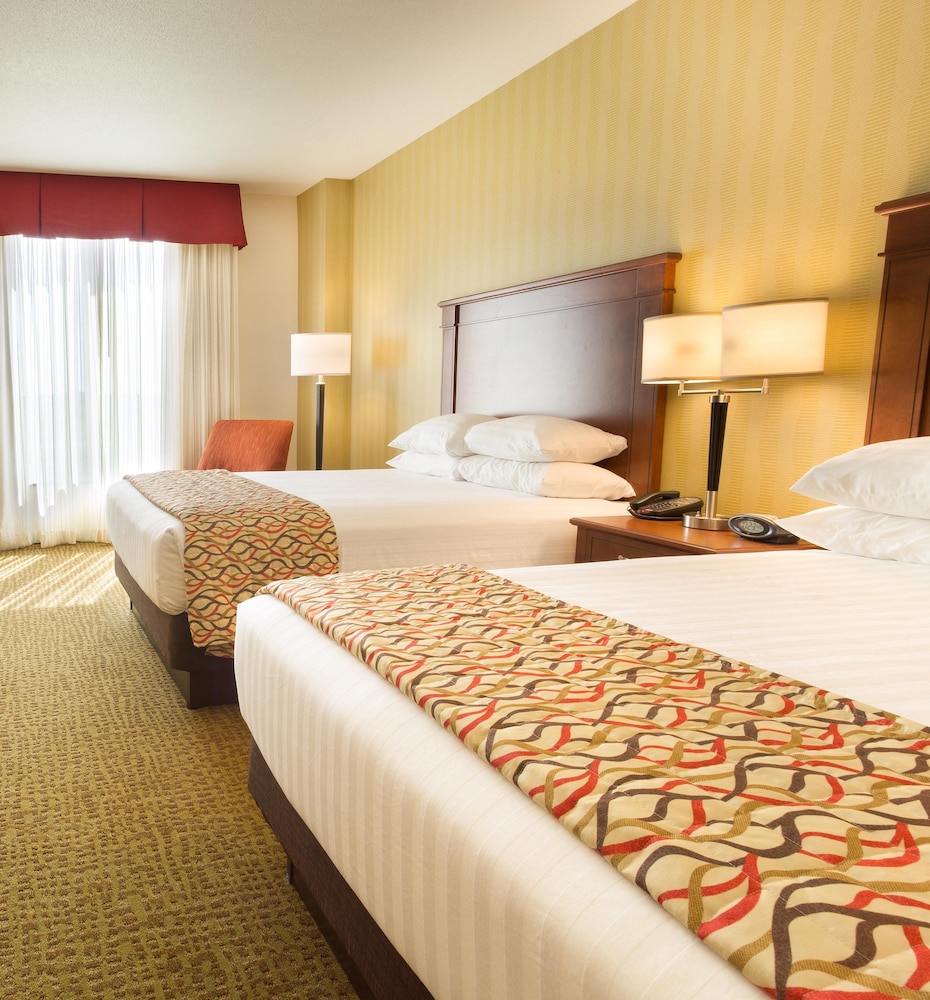 Suite, Multiple Beds, Refrigerator & Microwave (Upper Floor) photo 2
