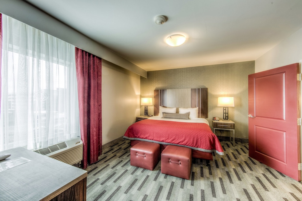 Studio Suite, 1 King Bed, Accessible, Kitchen (Comm, Roll Shwr) photo 1
