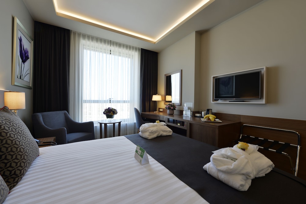 Standard Room, 1 Queen Bed with Sofa bed, City View thumbnail 6