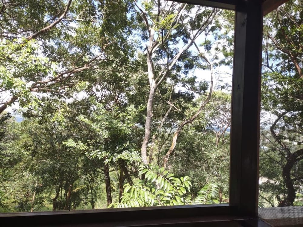 Deluxe Tree House, Kitchenette photo 2