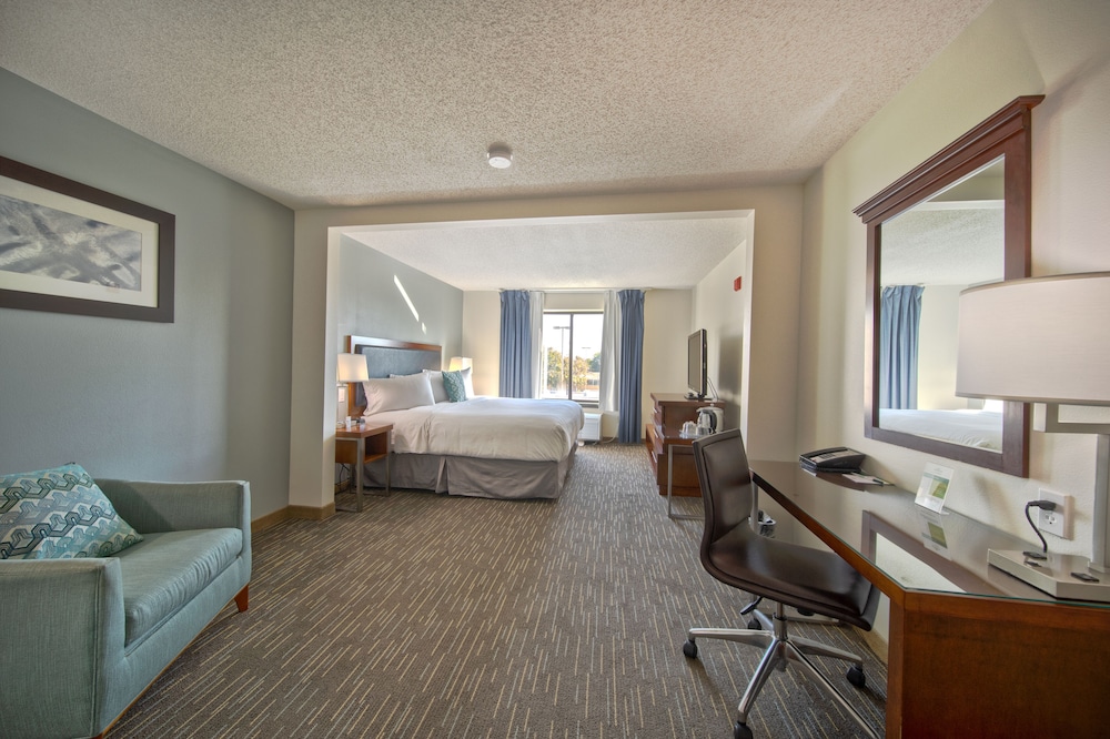 Room, 1 King Bed, Non Smoking (Mobility,Hearing,Bathtub w/ Grab Bars) - Photo 1