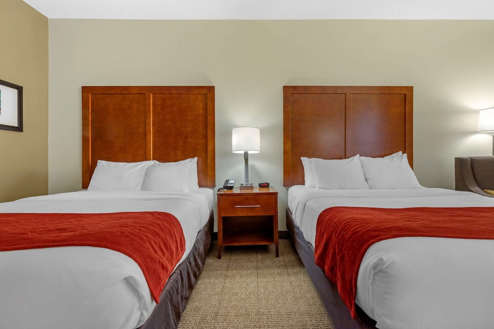 Standard Room, 2 Double Beds, Non Smoking photo 3