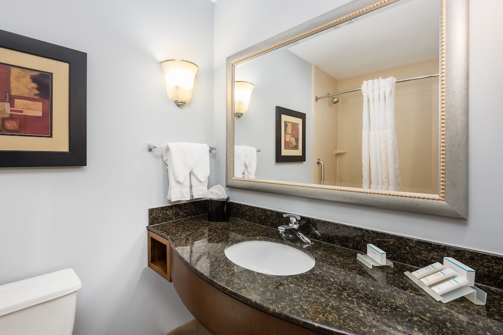Hilton Garden Inn St. Louis Shiloh/O'Fallon IL, Billede 2