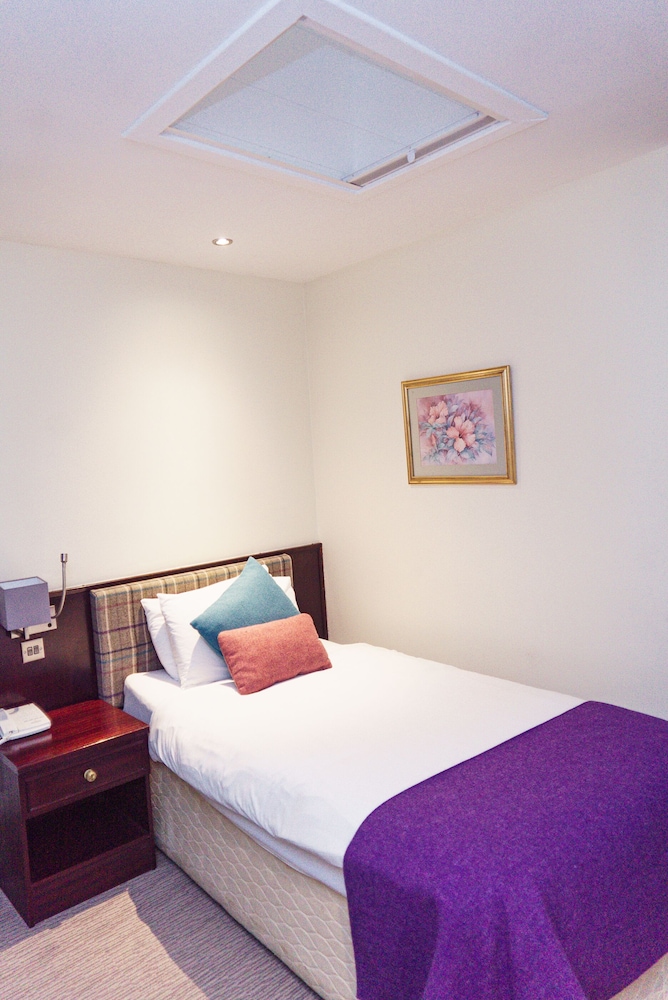 Fixed skylight Single Room 1 Single Bed photo 1