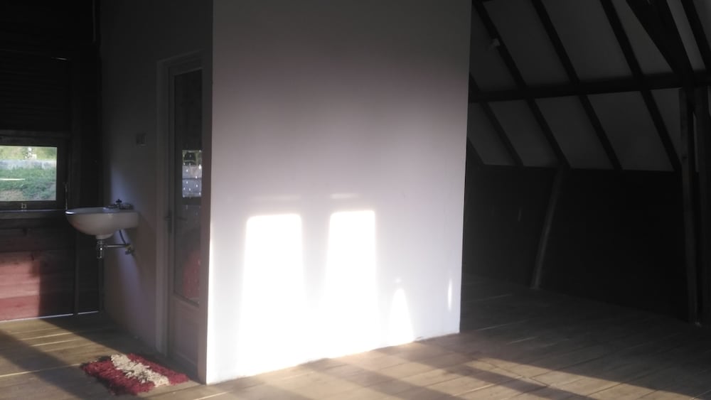 Basic Villa photo 3