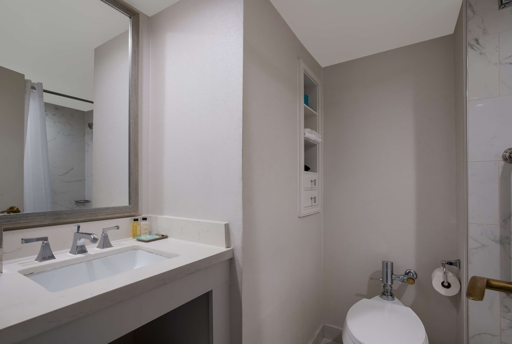 Deluxe Room, 1 King Bed, Accessible (Hearing) - Photo 6