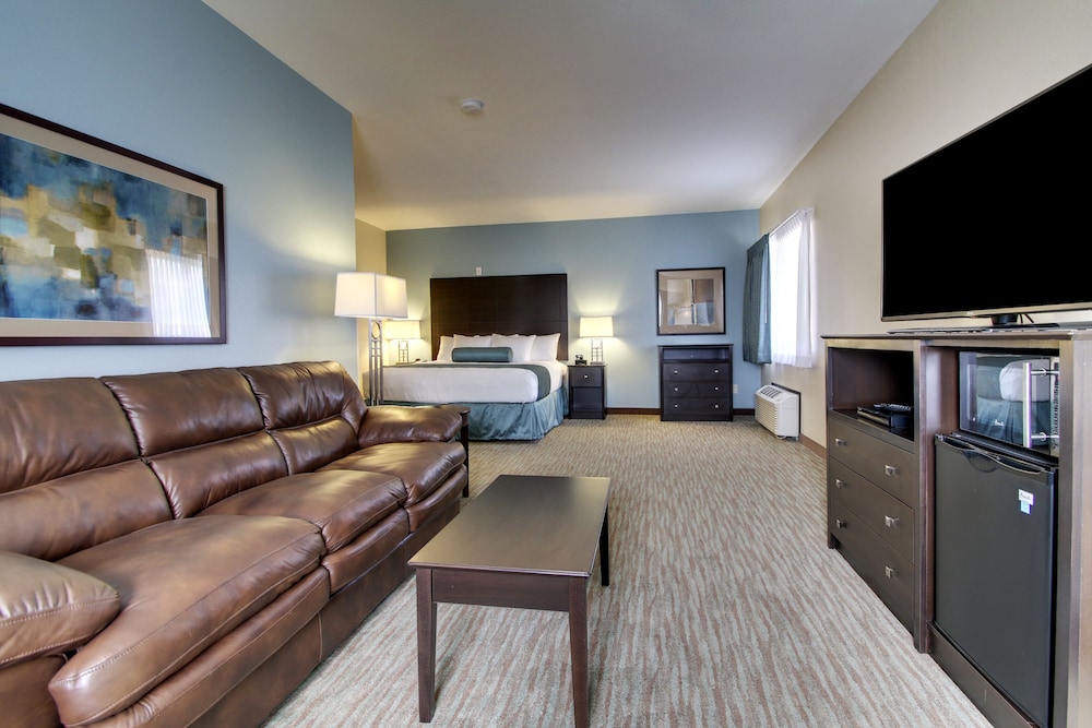 Studio Suite, 1 King Bed, Non Smoking photo 1
