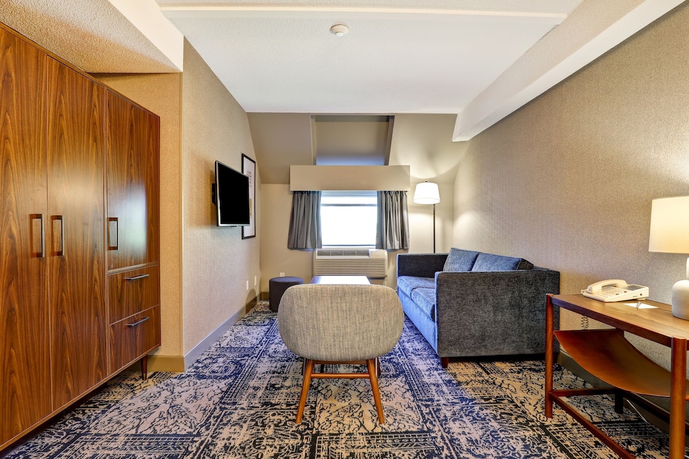 Suite, 1 Bedroom - Photo 10