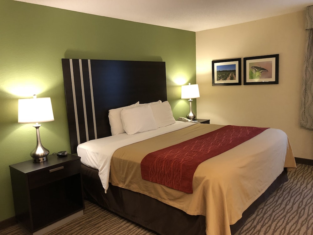 Executive Suite photo 2