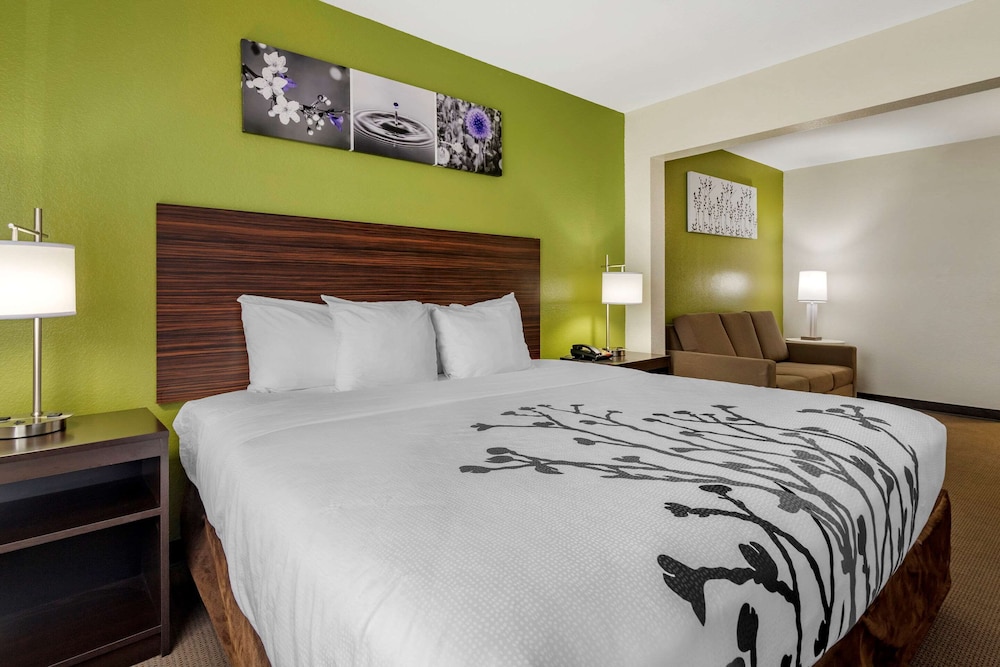 Suite, 1 King Bed with Sofa bed, Accessible, Non Smoking - Photo 5