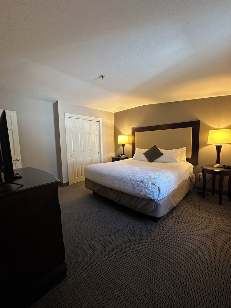 Standard Suite, 1 King Bed with Sofa bed, Kitchen photo 1