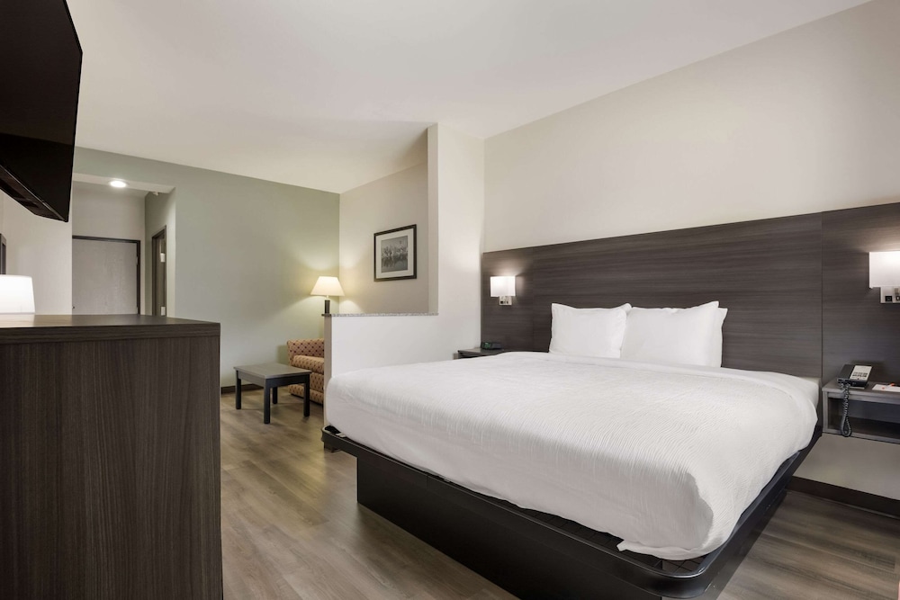 Suite, 1 King Bed with Sofa bed, Non Smoking photo 1