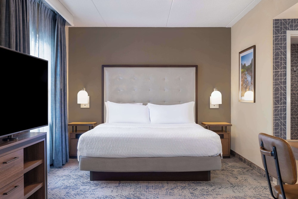 Premium Suite, 1 King Bed, Accessible, Bathtub - Photo 1