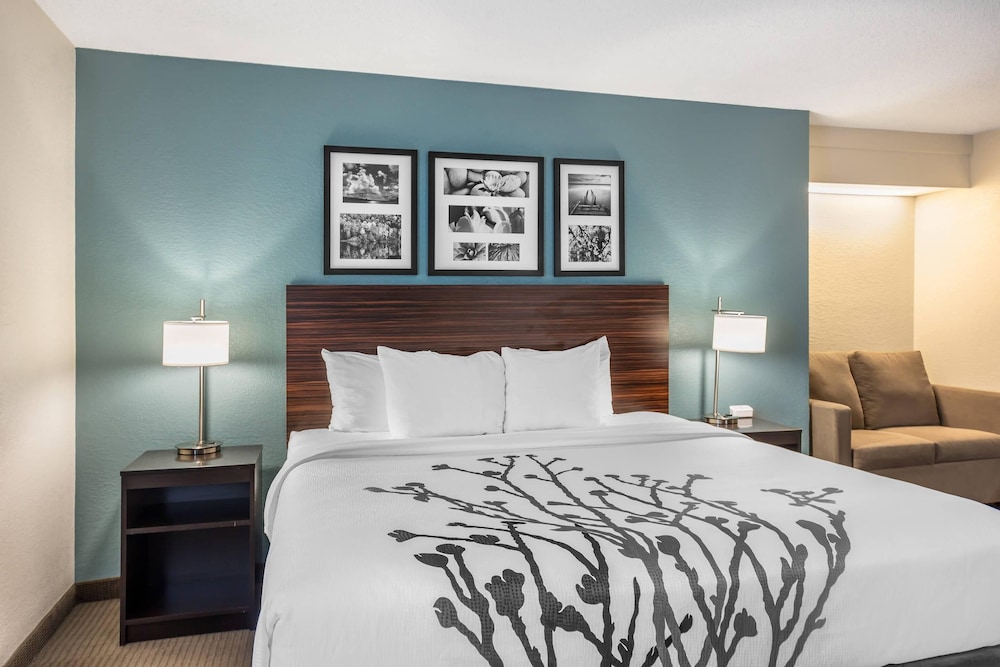 1 King Bed, 1-Person Pullout Sofa, Non-Smoking, No Pets Allowed photo 3