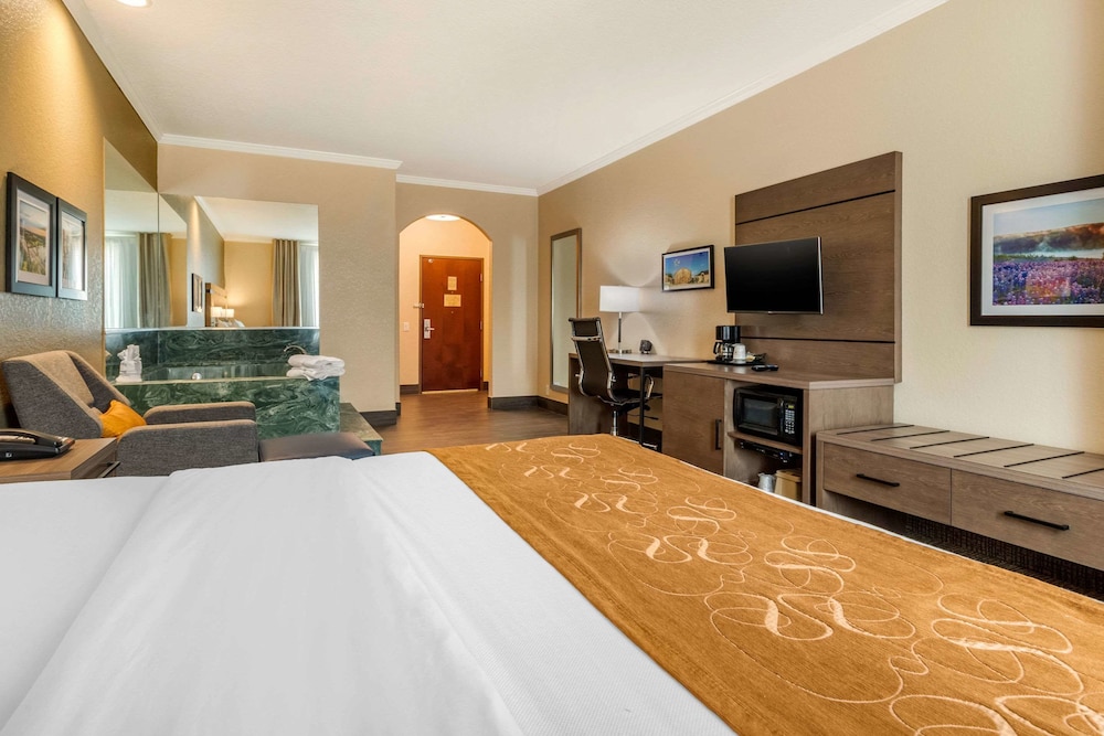 Suite, 1 King Bed, Non Smoking - Photo 2