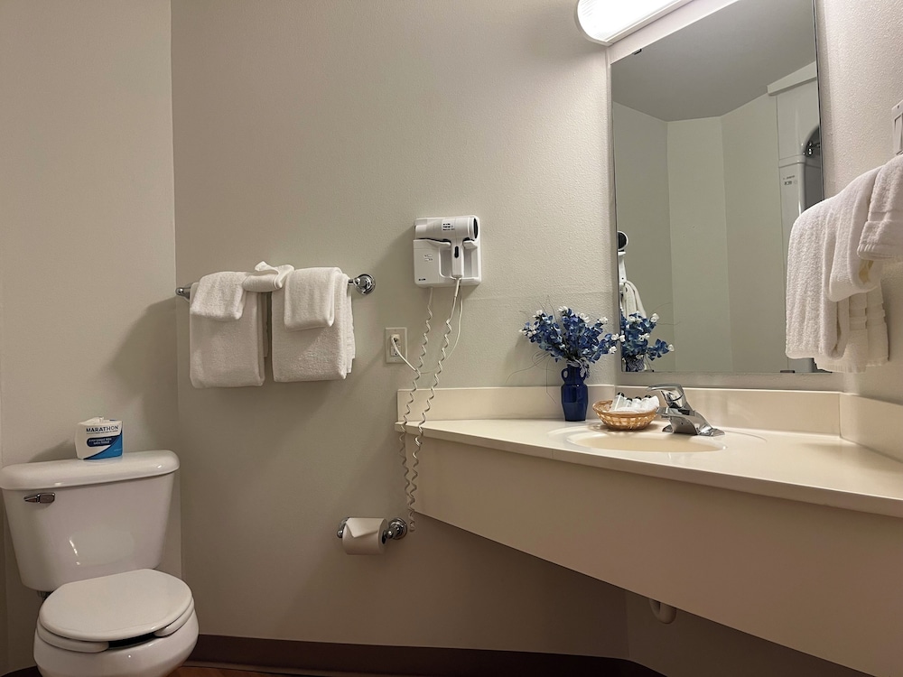 Suite, Multiple Beds, Non Smoking photo 3