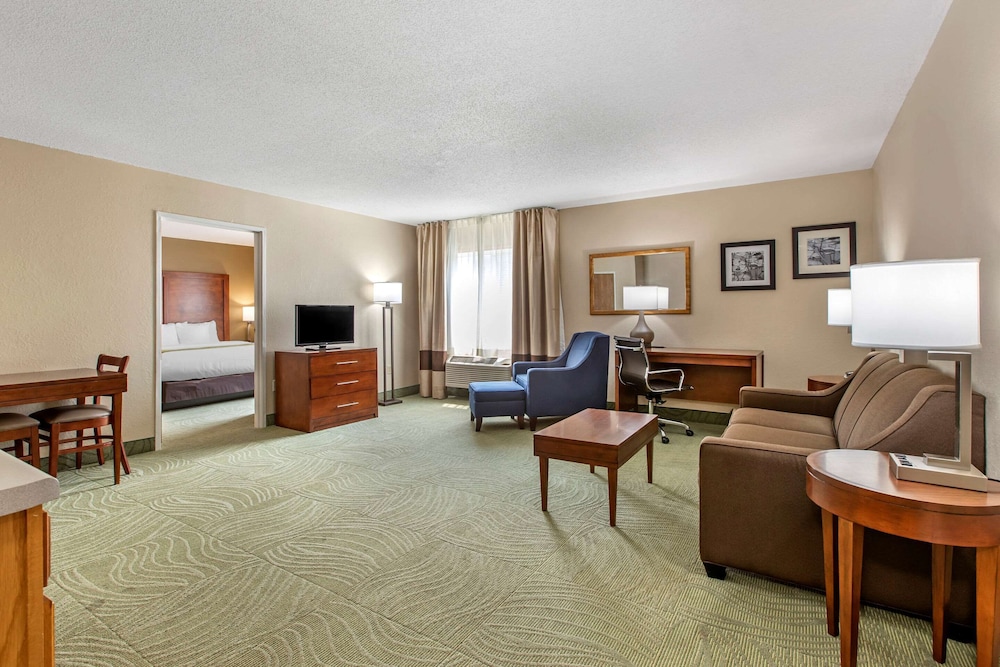 Suite, 1 King Bed, Non Smoking - Photo 1