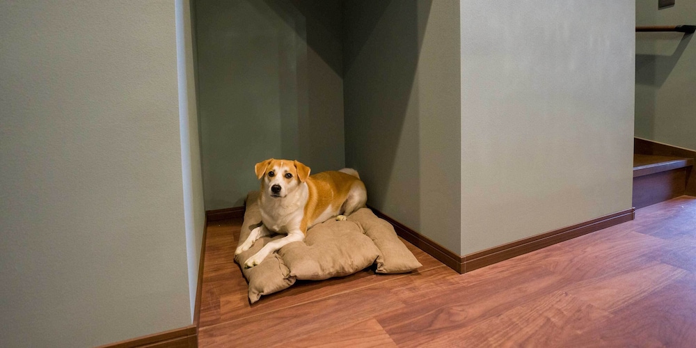 [Dog-friendly] VILLA, Non Smoking - Photo 2