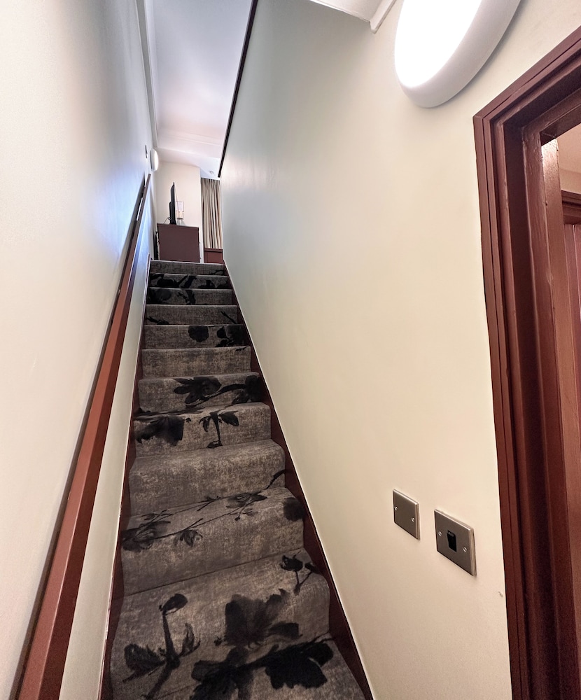 Family Duplex (Standard) photo 3