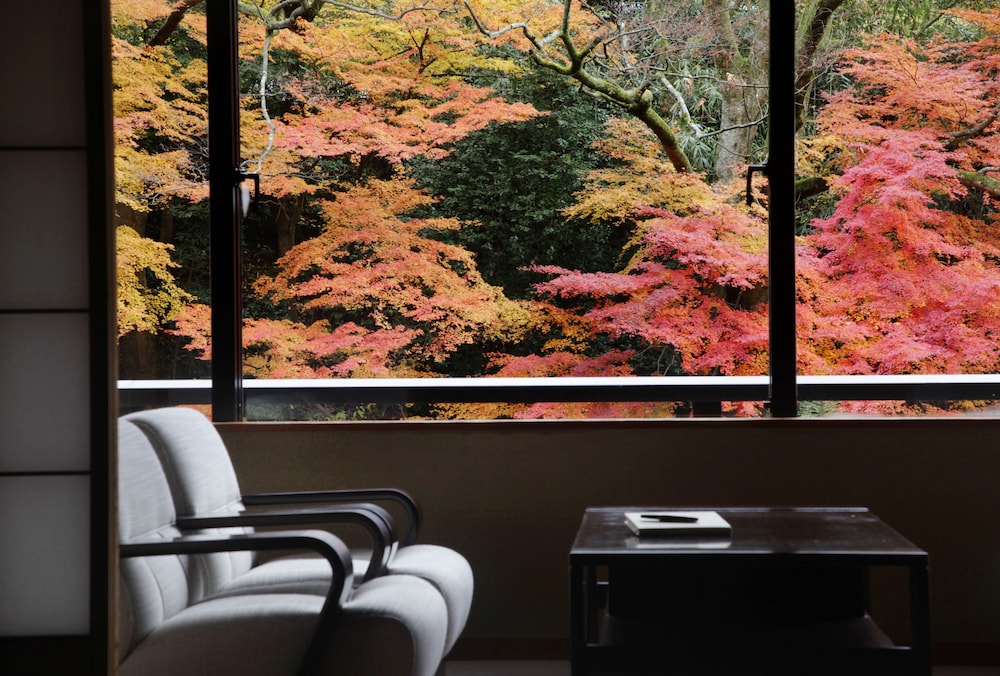 Traditional Room (Japanese-Style) photo 2